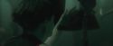 CdF-Potterish_6041.jpg