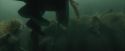CdF-Potterish_6052.jpg