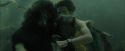 CdF-Potterish_6059.jpg
