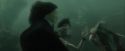 CdF-Potterish_6064.jpg