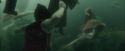 CdF-Potterish_6067.jpg