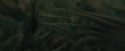 CdF-Potterish_6183.jpg