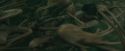 CdF-Potterish_6187.jpg