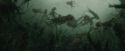 CdF-Potterish_6189.jpg