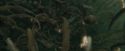 CdF-Potterish_6193.jpg