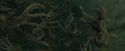 CdF-Potterish_6195.jpg