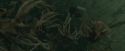 CdF-Potterish_6196.jpg