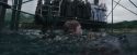 CdF-Potterish_6204.jpg