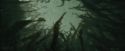 CdF-Potterish_6222.jpg