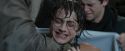 CdF-Potterish_6241.jpg