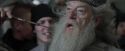 CdF-Potterish_6296.jpg