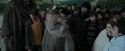 CdF-Potterish_6302.jpg