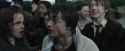 CdF-Potterish_6323.jpg