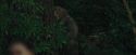 CdF-Potterish_6355.jpg