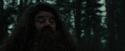 CdF-Potterish_6417.jpg
