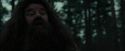 CdF-Potterish_6418.jpg