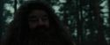 CdF-Potterish_6419.jpg
