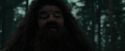 CdF-Potterish_6421.jpg