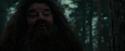 CdF-Potterish_6422.jpg