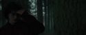 CdF-Potterish_6454.jpg
