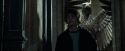 CdF-Potterish_6509.jpg