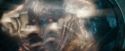 CdF-Potterish_6603.jpg