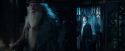 CdF-Potterish_6819.jpg