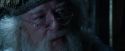 CdF-Potterish_6831.jpg