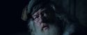 CdF-Potterish_6865.jpg