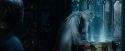 CdF-Potterish_6891.jpg