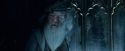 CdF-Potterish_6902.jpg