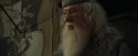 CdF-Potterish_7065.jpg