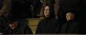 CdF-Potterish_7081.jpg