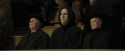 CdF-Potterish_7082.jpg