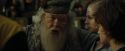 CdF-Potterish_7146.jpg