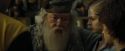CdF-Potterish_7149.jpg