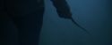 CdF-Potterish_7293.jpg