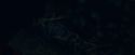 CdF-Potterish_7399.jpg