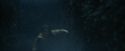 CdF-Potterish_7453.jpg