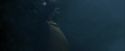 CdF-Potterish_7455.jpg