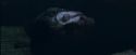 CdF-Potterish_7456.jpg