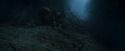 CdF-Potterish_7518.jpg