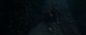 CdF-Potterish_7527.jpg