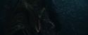 CdF-Potterish_7533.jpg