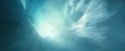 CdF-Potterish_7587.jpg