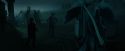 CdF-Potterish_7612.jpg