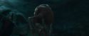 CdF-Potterish_7755.jpg