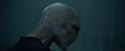 CdF-Potterish_7772.jpg