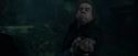 CdF-Potterish_7835.jpg