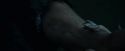 CdF-Potterish_7836.jpg